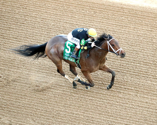 FOIE GRAS - OAKLAWN ANYWHERE OVERNIGHT STAKES - 12-28-25 - R08 - OP - Aerial Finish 01 - Coady Media - Kurtis Coady Photography