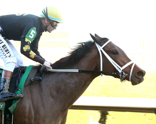 FOIE GRAS - OAKLAWN ANYWHERE OVERNIGHT STAKES - 12-28-25 - R08 - OP - Finish 03 - Coady Media - Kurtis Coady Photography