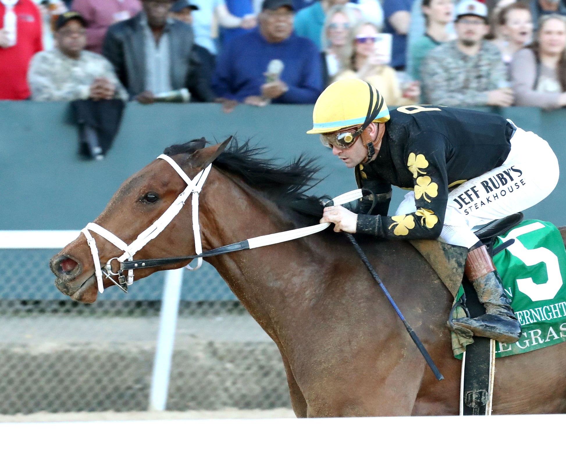 FOIE GRAS - OAKLAWN ANYWHERE OVERNIGHT STAKES - 12-28-25 - R08 - OP - Inside Finish 01 - Coady Media - Kurtis Coady Photography