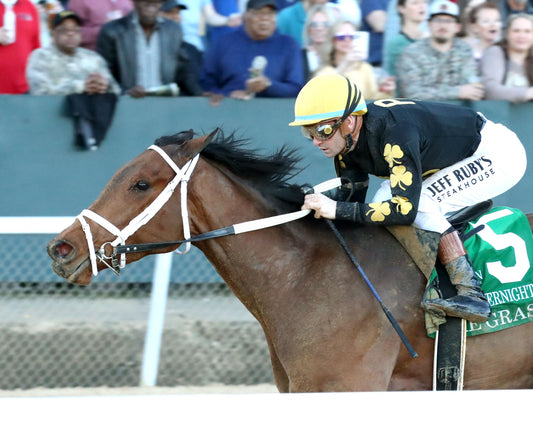 FOIE GRAS - OAKLAWN ANYWHERE OVERNIGHT STAKES - 12-28-25 - R08 - OP - Inside Finish 01 - Coady Media - Kurtis Coady Photography