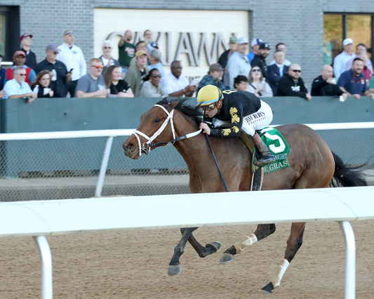 FOIE GRAS - OAKLAWN ANYWHERE OVERNIGHT STAKES - 12-28-25 - R08 - OP - Inside Finish 02 - Coady Media - Kurtis Coady Photography