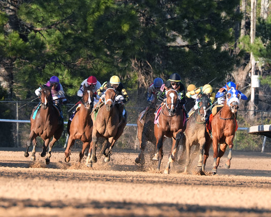 FOIE GRAS - OAKLAWN ANYWHERE OVERNIGHT STAKES - 12-28-25 - R08 - OP -  Turn 01 - Coady Media - Kurtis Coady Photography