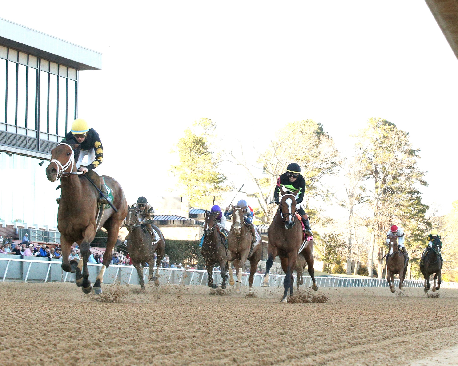 FOIE GRAS - OAKLAWN ANYWHERE OVERNIGHT STAKES - 12-28-25 - R08 - OP - Under Rail 01 - Coady Media - Kurtis Coady Photography