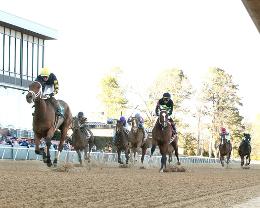 FOIE GRAS - OAKLAWN ANYWHERE OVERNIGHT STAKES - 12-28-25 - R08 - OP - Under Rail 01 - Coady Media - Kurtis Coady Photography