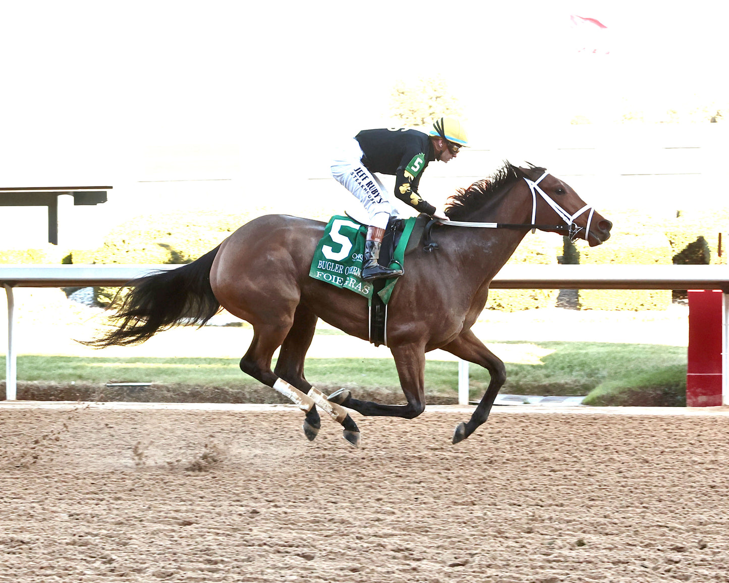 FOIE GRAS - OAKLAWN ANYWHERE OVERNIGHT STAKES - 12-28-25 - R08 - OP -Finish 01 - Coady Media - Kurtis Coady Photography
