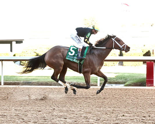 FOIE GRAS - OAKLAWN ANYWHERE OVERNIGHT STAKES - 12-28-25 - R08 - OP -Finish 01 - Coady Media - Kurtis Coady Photography