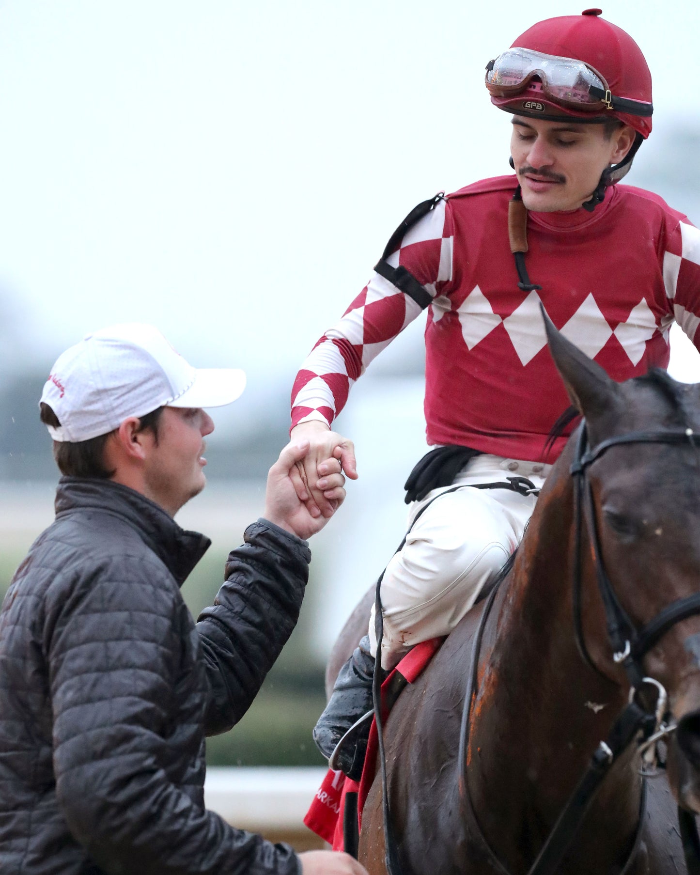 FRENCH FRICTION - The Dixie Belle Stakes - 02-14-26 - R09 - OP - Come Back 01 - Coady Media - Kurtis Coady Photography