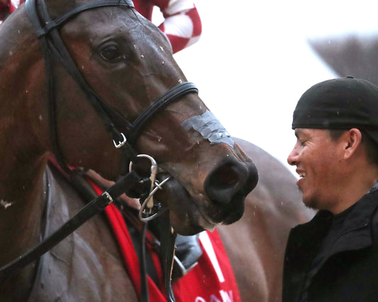 FRENCH FRICTION - The Dixie Belle Stakes - 02-14-26 - R09 - OP - Come Back 04 - Coady Media - Kurtis Coady Photography