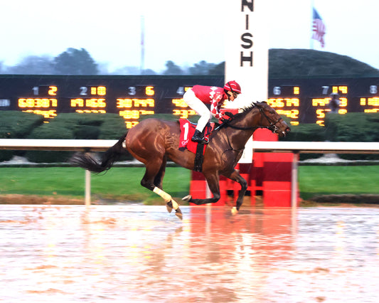 FRENCH FRICTION - The Dixie Belle Stakes - 02-14-26 - R09 - OP - Finish 01 - Coady Media - Kurtis Coady Photography