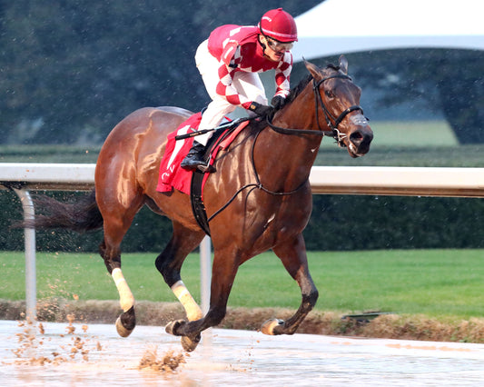 FRENCH FRICTION - The Dixie Belle Stakes - 02-14-26 - R09 - OP - Finish 02 - Coady Media - Kurtis Coady Photography
