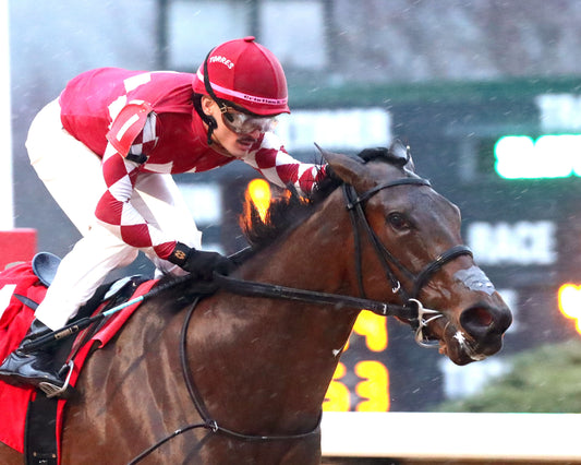 FRENCH FRICTION - The Dixie Belle Stakes - 02-14-26 - R09 - OP - Finish 03 - Coady Media - Kurtis Coady Photography