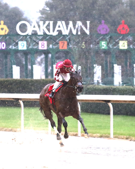 FRENCH FRICTION - The Dixie Belle Stakes - 02-14-26 - R09 - OP - Finish 04 - Coady Media - Kurtis Coady Photography