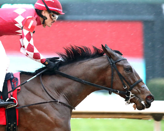 FRENCH FRICTION - The Dixie Belle Stakes - 02-14-26 - R09 - OP - Finish 05 - Coady Media - Kurtis Coady Photography