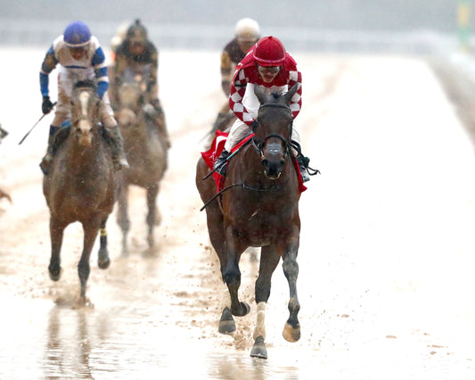 FRENCH FRICTION - The Dixie Belle Stakes - 02-14-26 - R09 - OP - Gallop Out 01 - Coady Media - Kurtis Coady Photography