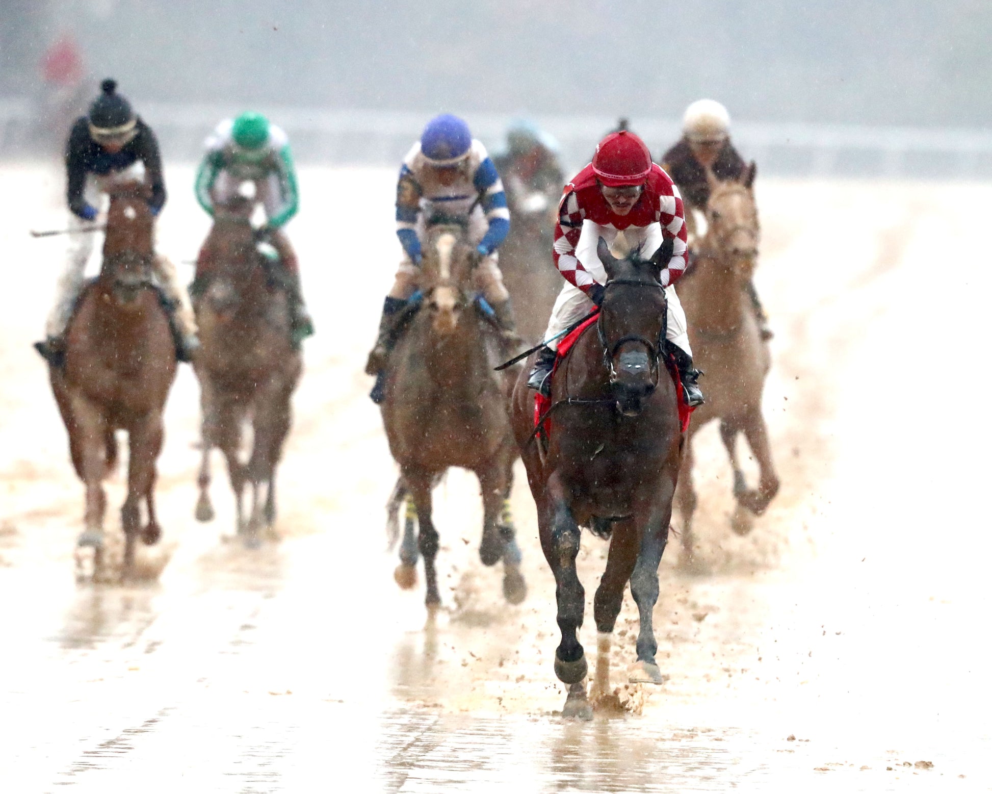 FRENCH FRICTION - The Dixie Belle Stakes - 02-14-26 - R09 - OP - Head On 01 - Coady Media - Kurtis Coady Photography