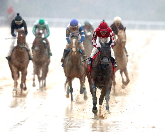 FRENCH FRICTION - The Dixie Belle Stakes - 02-14-26 - R09 - OP - Head On 01 - Coady Media - Kurtis Coady Photography