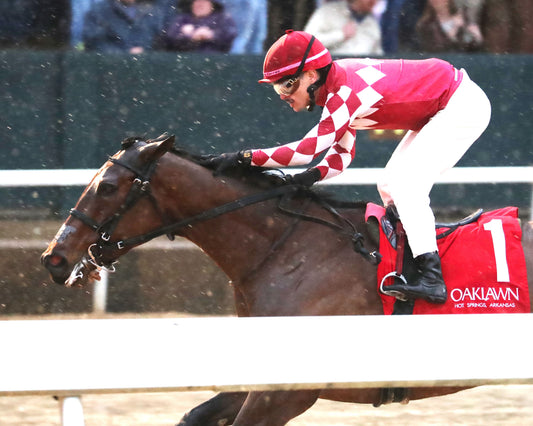 FRENCH FRICTION - The Dixie Belle Stakes - 02-14-26 - R09 - OP - Inside Finish 01 - Coady Media - Kurtis Coady Photography