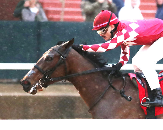 FRENCH FRICTION - The Dixie Belle Stakes - 02-14-26 - R09 - OP - Inside Finish 02 - Coady Media - Kurtis Coady Photography
