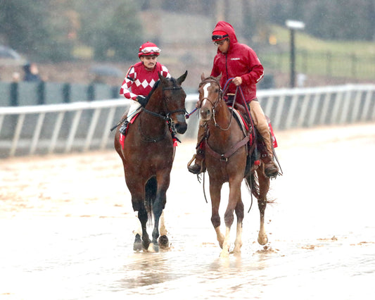 FRENCH FRICTION - The Dixie Belle Stakes - 02-14-26 - R09 - OP - Post Parade 01 - Coady Media - Kurtis Coady Photography