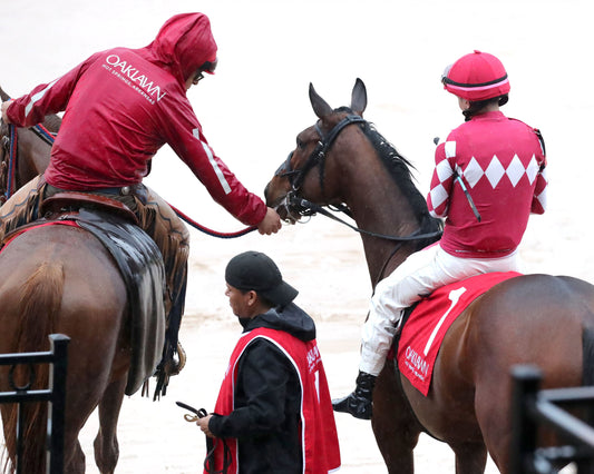 FRENCH FRICTION - The Dixie Belle Stakes - 02-14-26 - R09 - OP - Post Parade 02 - Coady Media - Kurtis Coady Photography