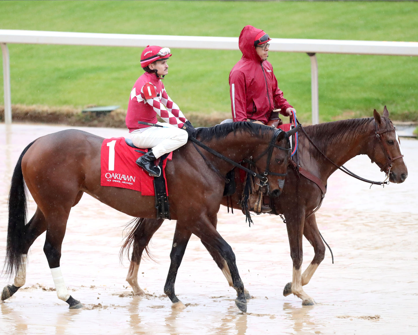 FRENCH FRICTION - The Dixie Belle Stakes - 02-14-26 - R09 - OP - Post Parade 03 - Coady Media - Kurtis Coady Photography