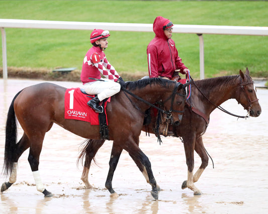 FRENCH FRICTION - The Dixie Belle Stakes - 02-14-26 - R09 - OP - Post Parade 03 - Coady Media - Kurtis Coady Photography