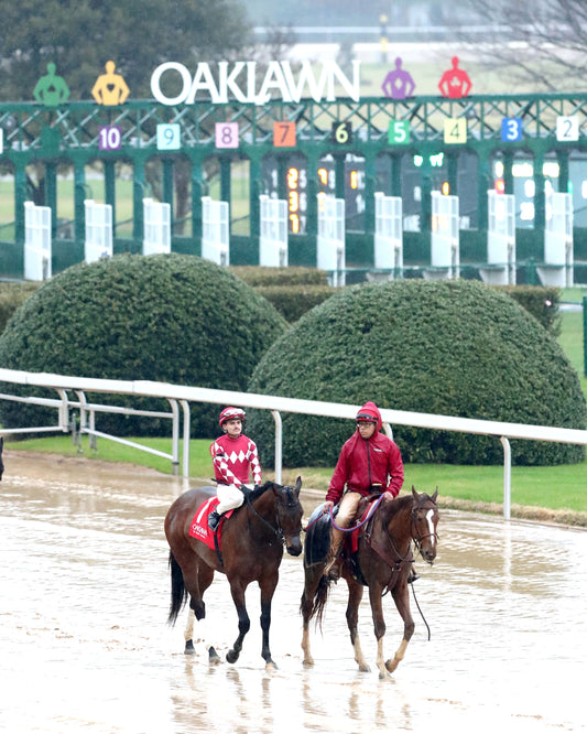 FRENCH FRICTION - The Dixie Belle Stakes - 02-14-26 - R09 - OP - Post Parade 04 - Coady Media - Kurtis Coady Photography