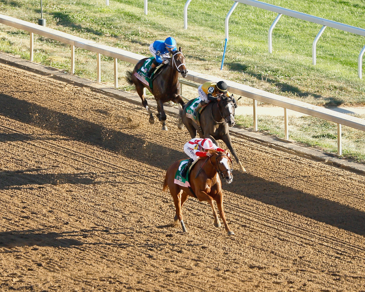 FULLY SUBSCRIBED - 100426 - Race 09 - KEE  The Juddmonte Spinster G1 - Aerial Finish 03