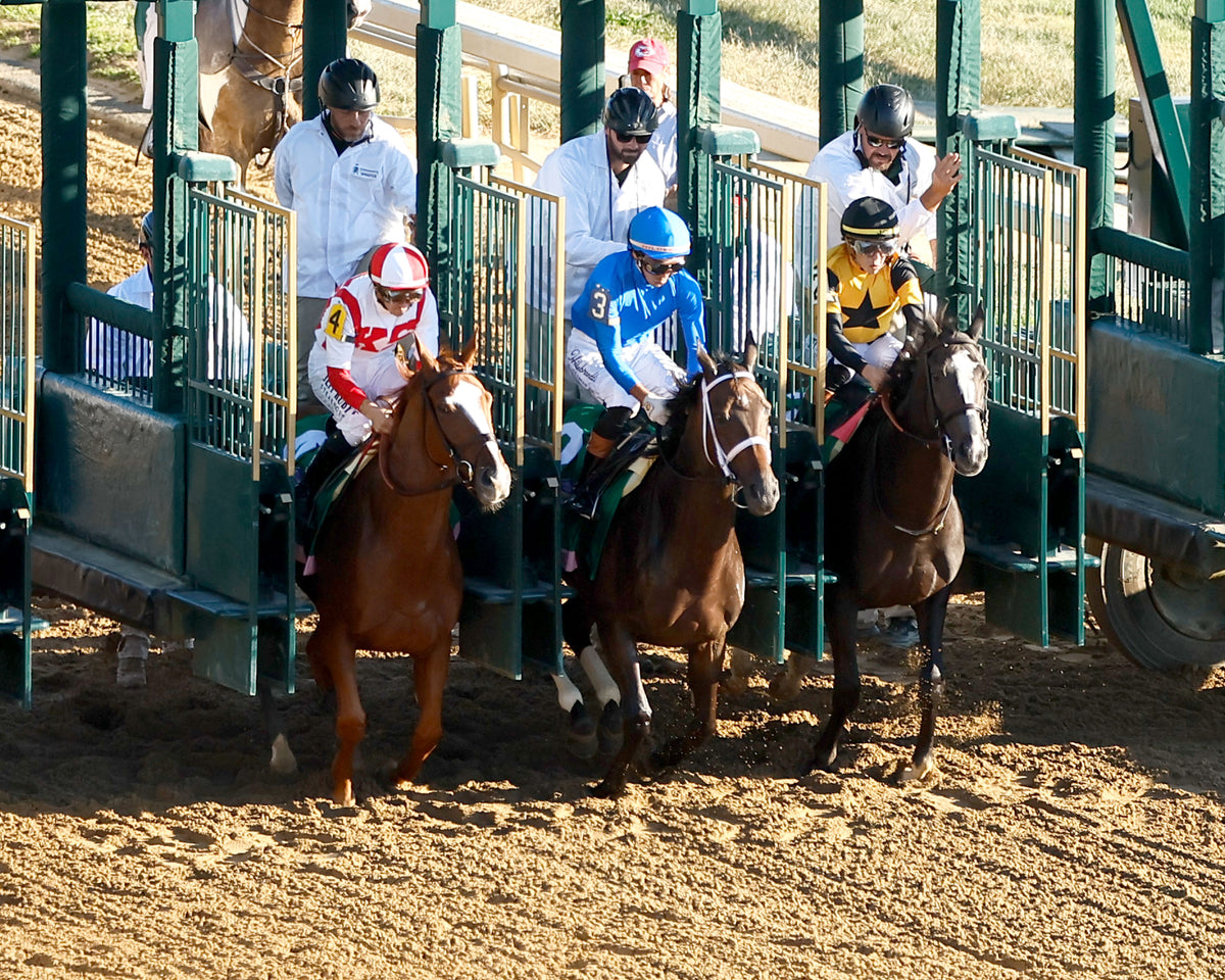 FULLY SUBSCRIBED - 100426 - Race 09 - KEE  The Juddmonte Spinster G1 - Aerial Start 01