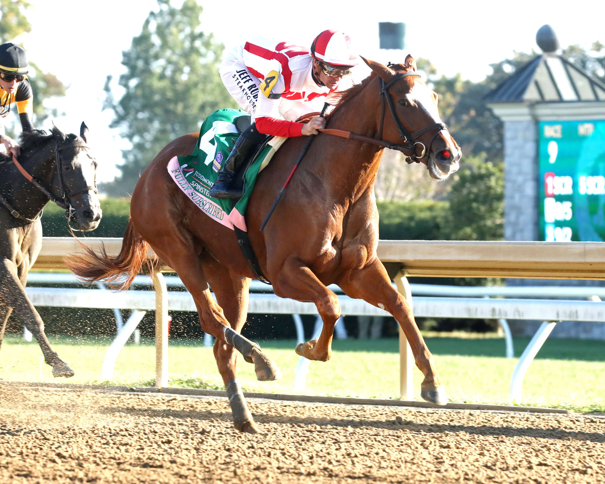FULLY SUBSCRIBED - 100426 - Race 09 - KEE  The Juddmonte Spinster G1 - Finish 02