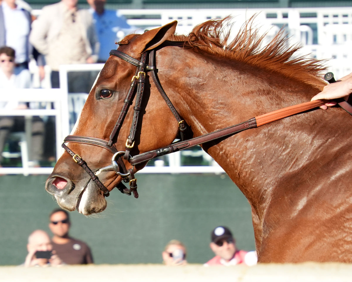 FULLY SUBSCRIBED - 100426 - Race 09 - KEE  The Juddmonte Spinster G1 - Inside Finish 02