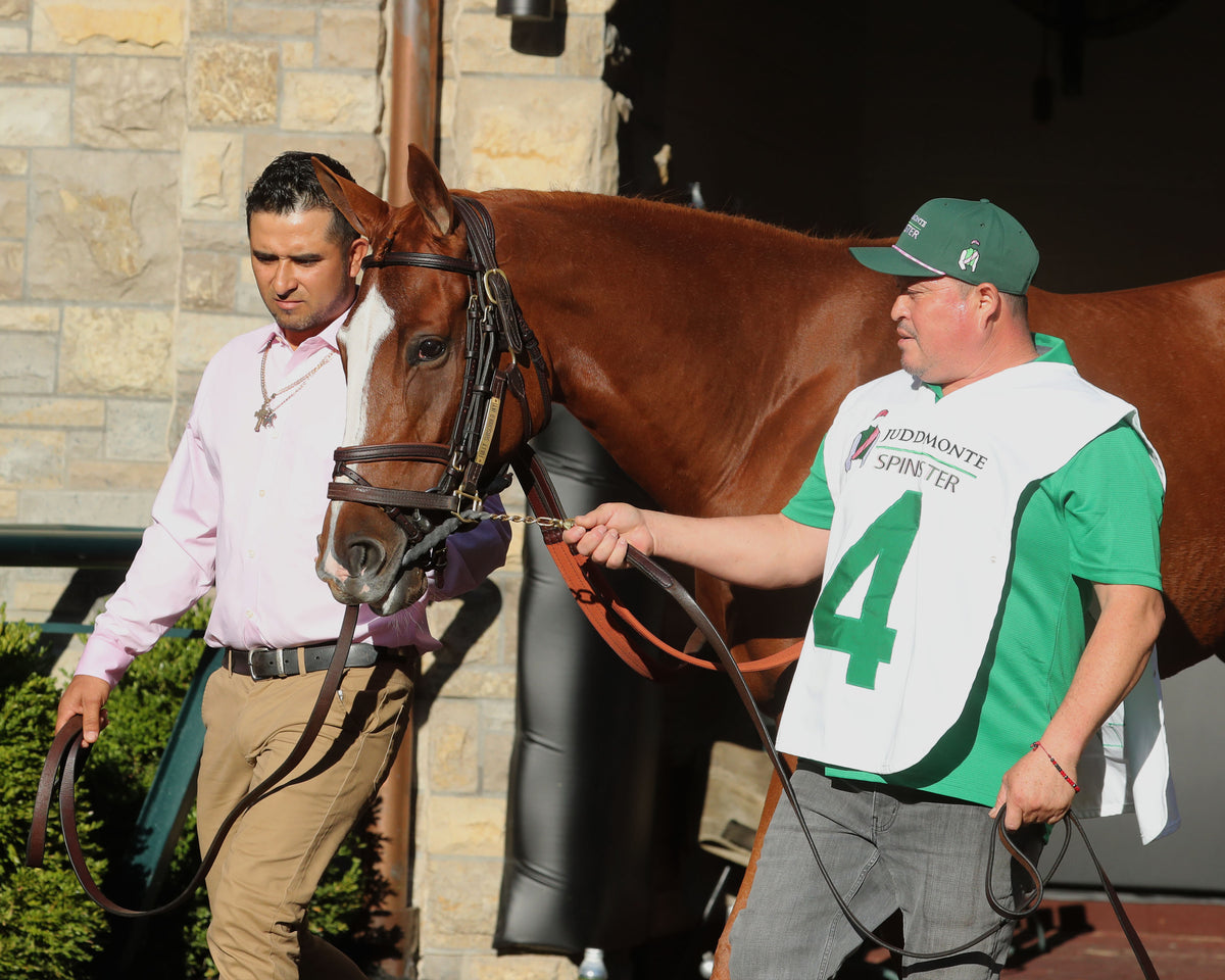 FULLY SUBSCRIBED - 100426 - Race 09 - KEE  The Juddmonte Spinster G1 - Paddock 01