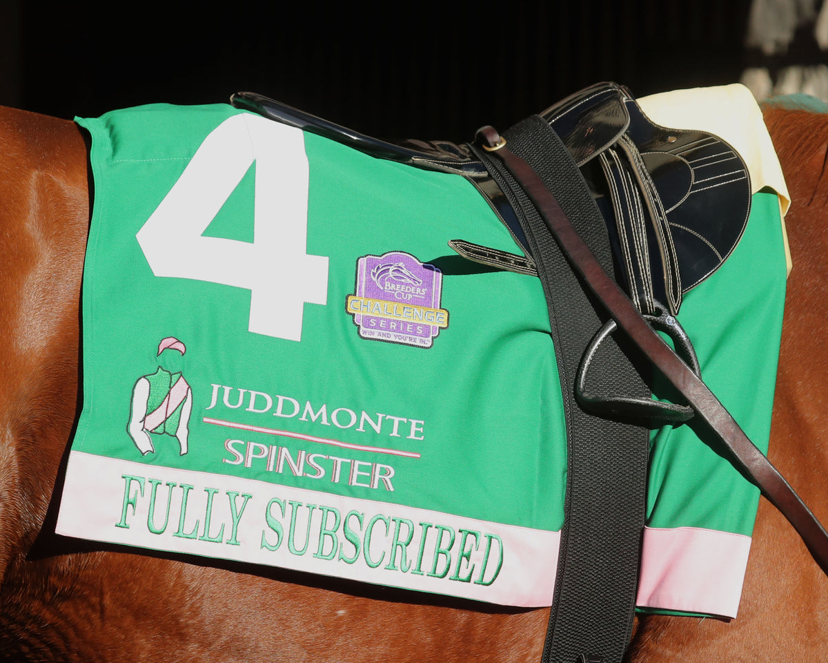 FULLY SUBSCRIBED - 100426 - Race 09 - KEE  The Juddmonte Spinster G1 - Saddle Towel 01