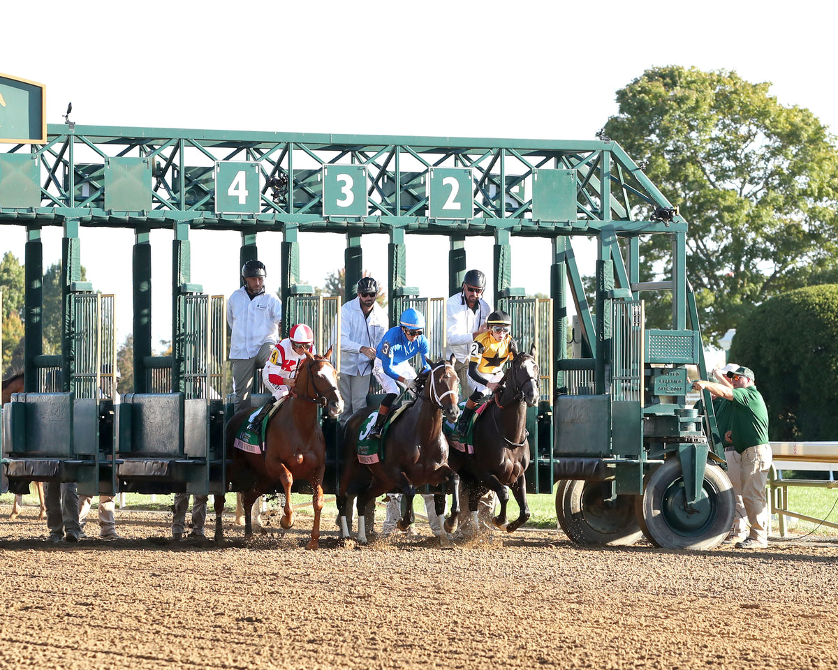 FULLY SUBSCRIBED - 100426 - Race 09 - KEE  The Juddmonte Spinster G1 - Start 01