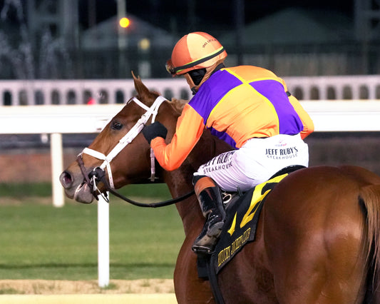 FURTHER ADO - The Kentucky Jockey Club G2 - 11-29-25 - R10 - CD - Come Back 02