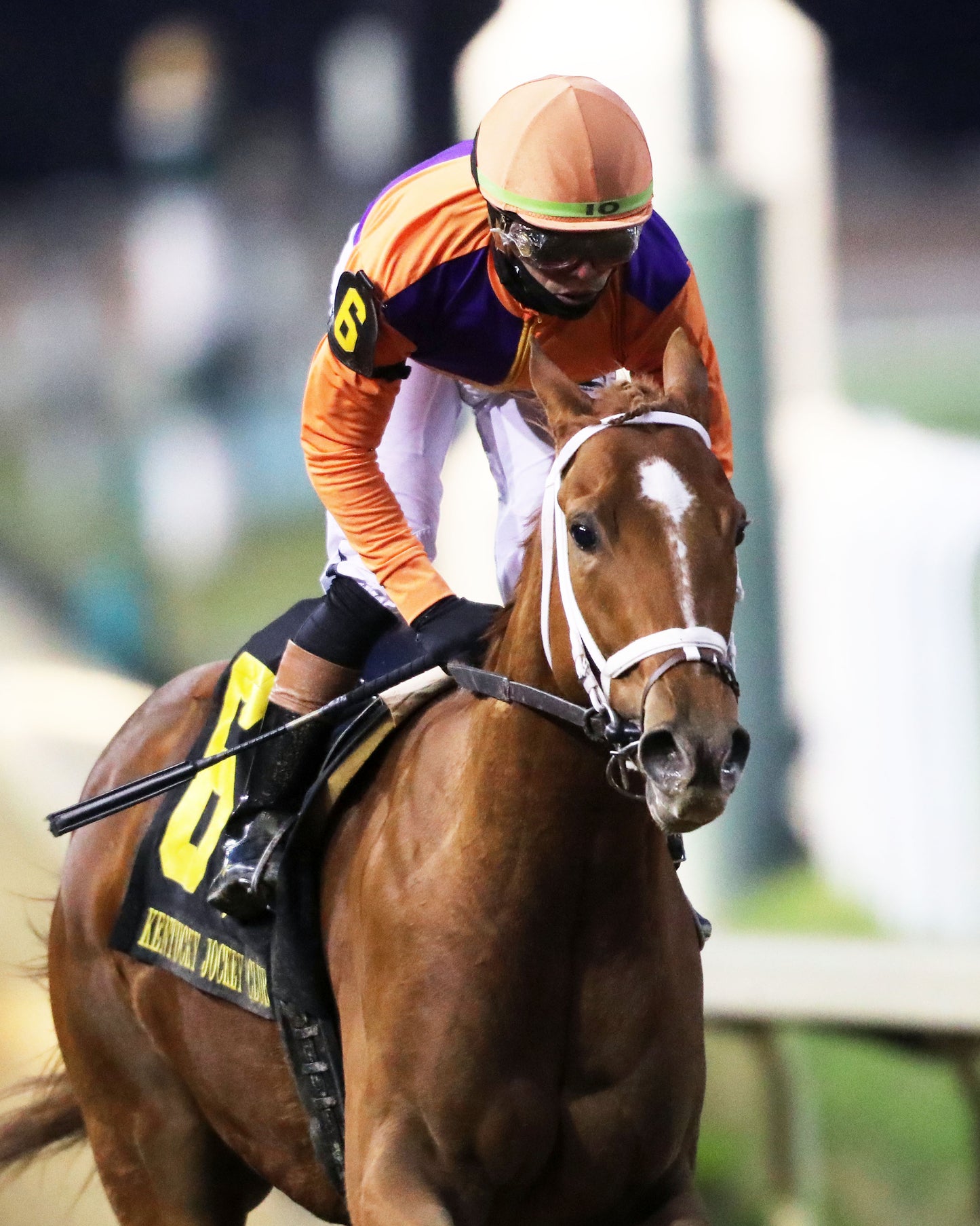 FURTHER ADO - The Kentucky Jockey Club G2 - 11-29-25 - R10 - CD - Gallop Out 01