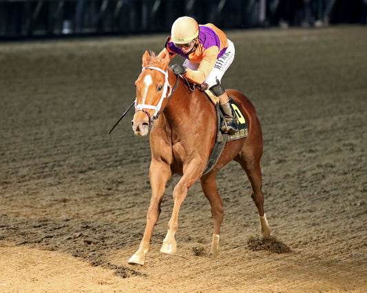 FURTHER ADO - The Kentucky Jockey Club G2 - 11-29-25 - R10 - CD - Inside Finish 01