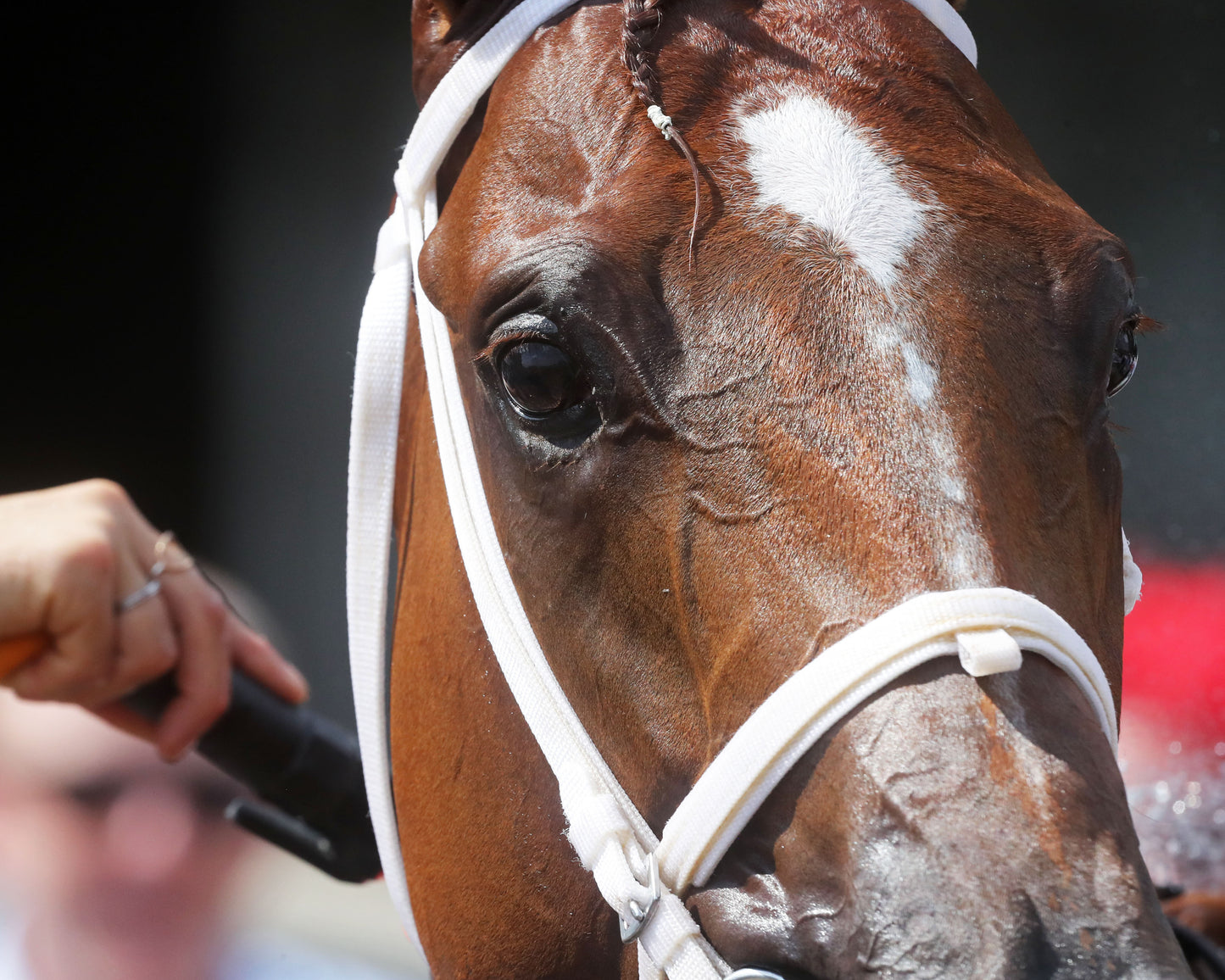 FURTHER ADO - The Matt Winn G3  - 06-07-26 - R08 - CD - Come Back 02