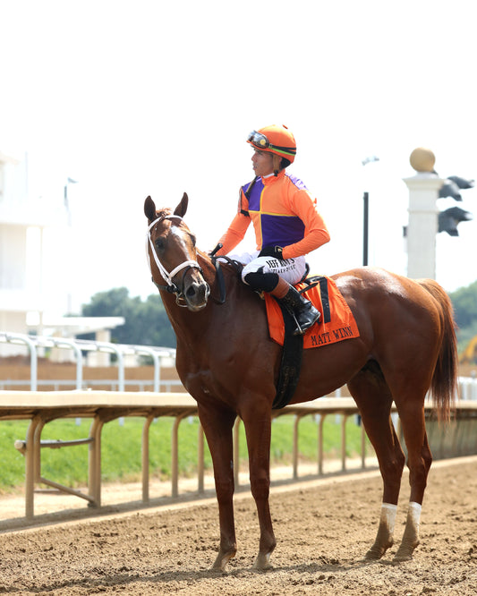 FURTHER ADO - The Matt Winn G3  - 06-07-26 - R08 - CD - Come Back 05