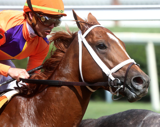FURTHER ADO - The Matt Winn G3  - 06-07-26 - R08 - CD - First Turn 03