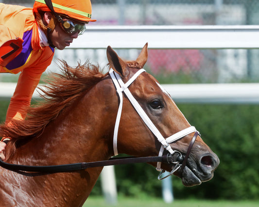 FURTHER ADO - The Matt Winn G3  - 06-07-26 - R08 - CD - Gallop Out 01