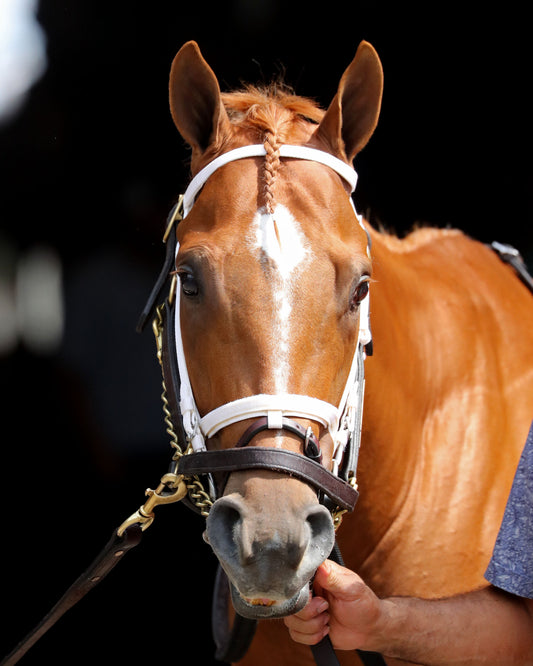 FURTHER ADO - The Matt Winn G3  - 06-07-26 - R08 - CD - Paddock 01