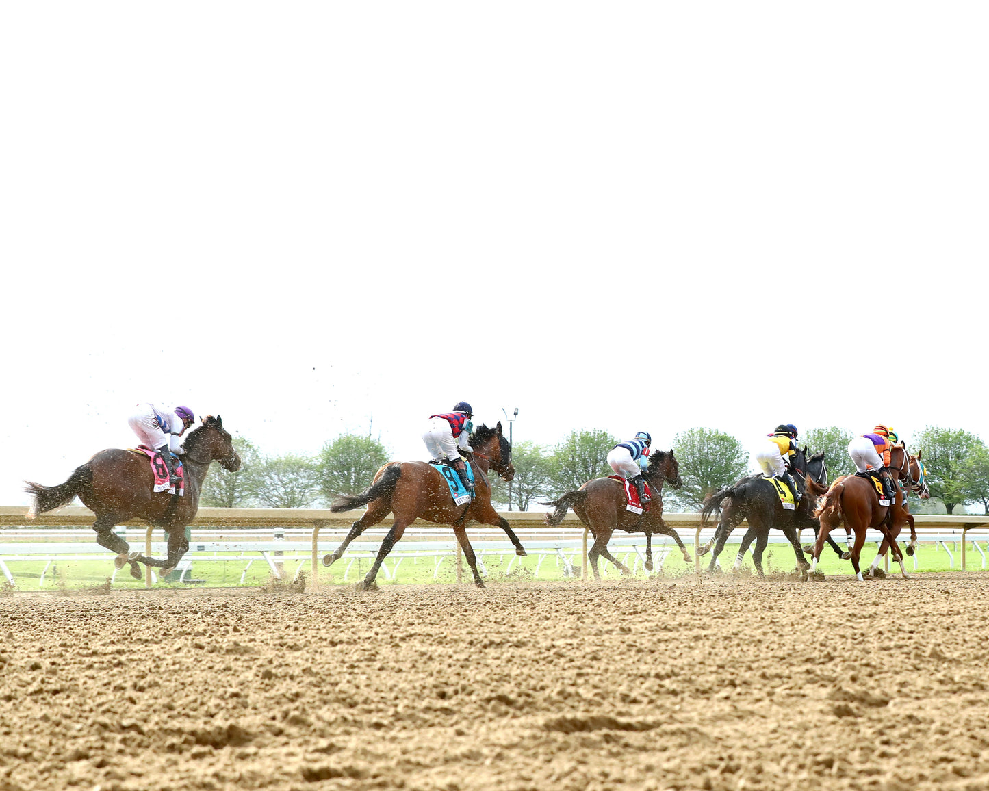 FURTHER ADO - The Toyota Blue Grass G1 - 04-04-26 - R11 - KEE - Coady Media - Kurtis Coady Photography