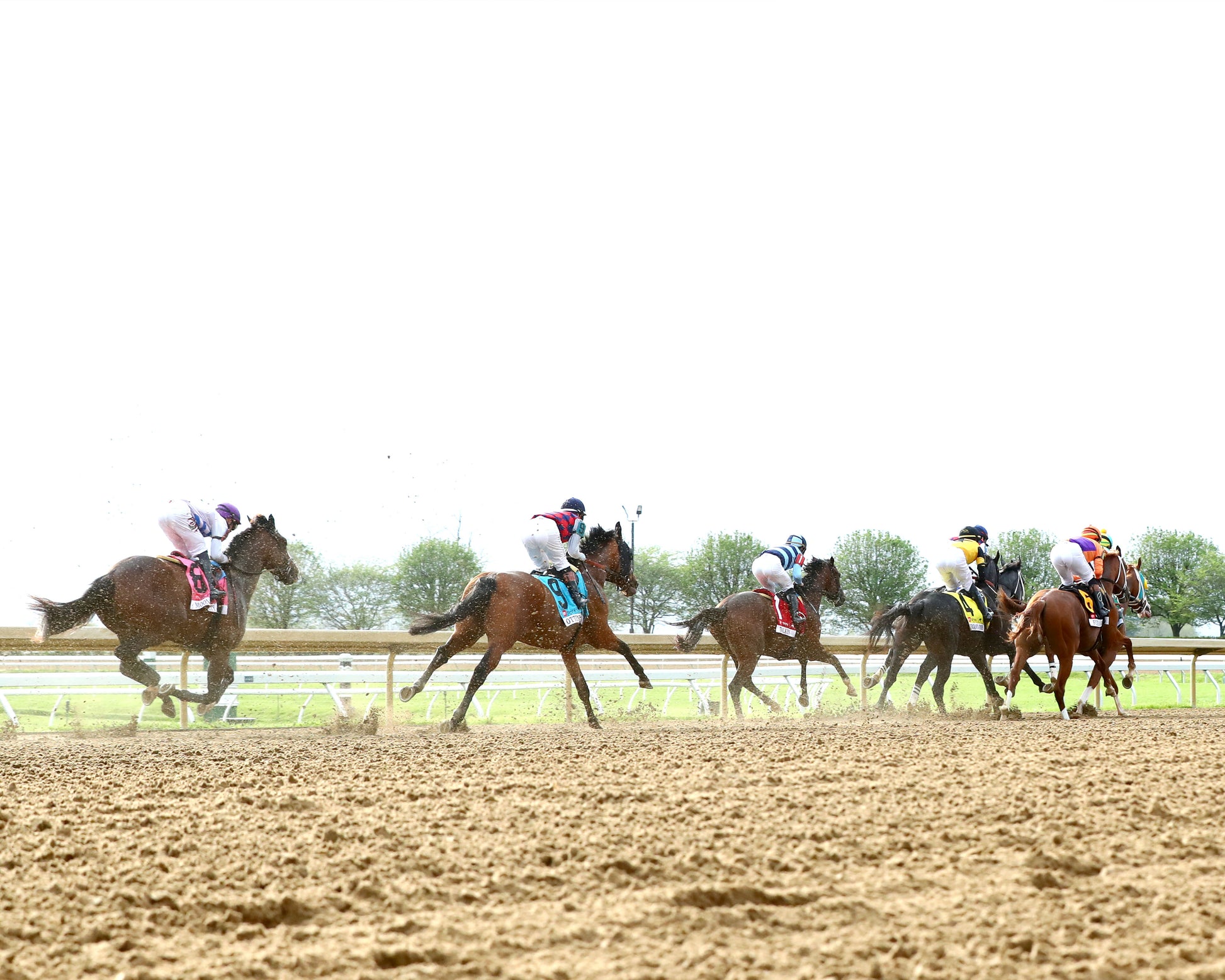 FURTHER ADO - The Toyota Blue Grass G1 - 04-04-26 - R11 - KEE - Coady Media - Kurtis Coady Photography