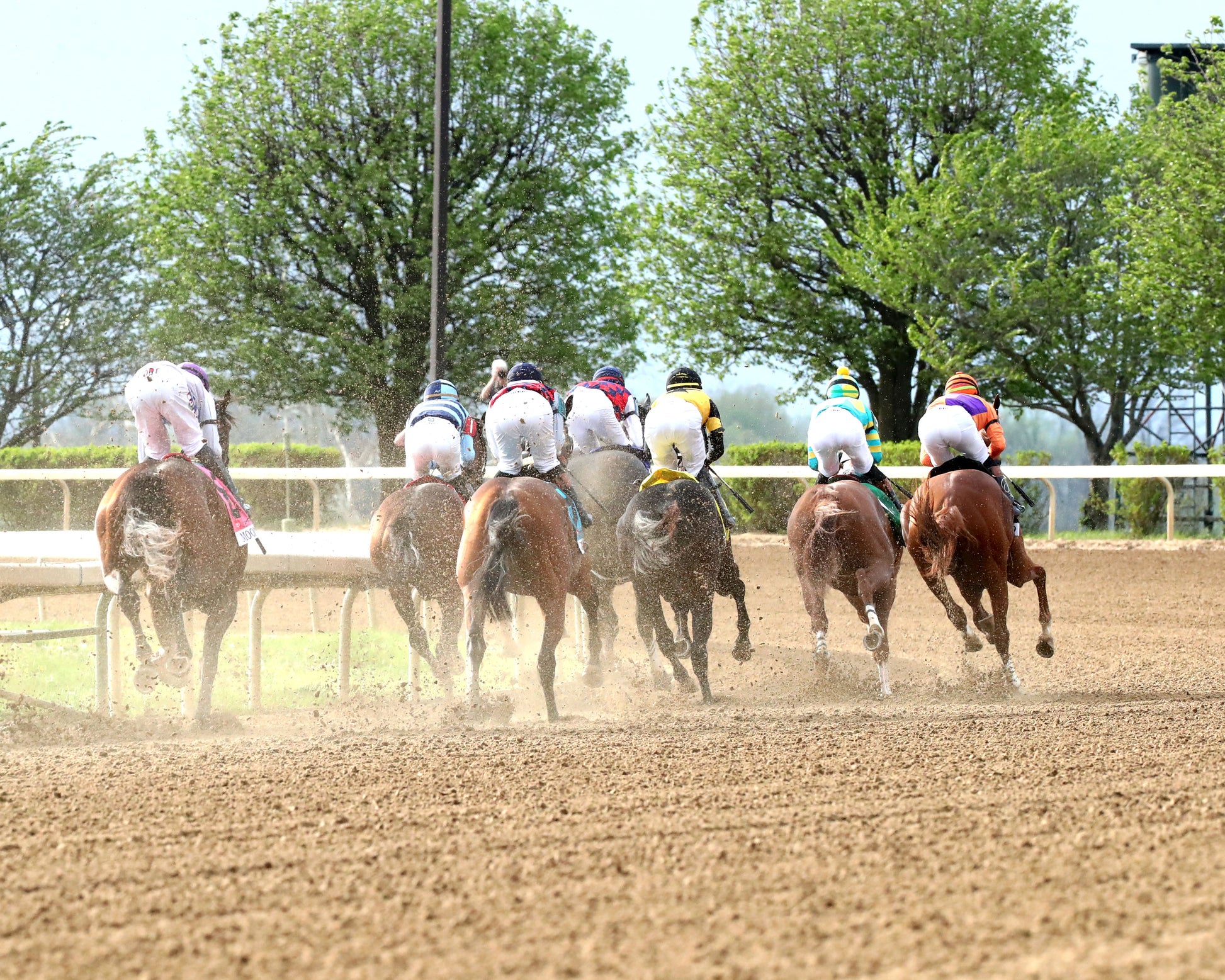 FURTHER ADO - The Toyota Blue Grass G1 - 04-04-26 - R11 - KEE - First Turn 01 - Coady Media - Kurtis Coady Photography