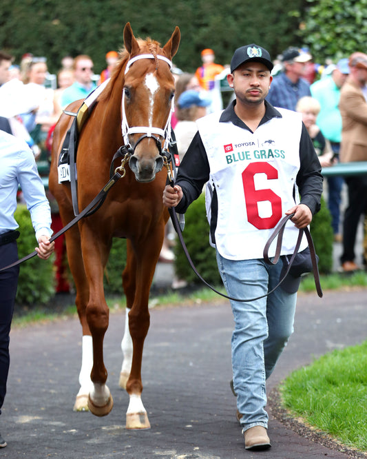 FURTHER ADO - The Toyota Blue Grass G1 - 04-04-26 - R11 - KEE - Paddock 01 - Coady Media - Kurtis Coady Photography