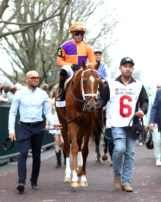 FURTHER ADO - The Toyota Blue Grass G1 - 04-04-26 - R11 - KEE - Paddock 03 - Coady Media - Kurtis Coady Photography
