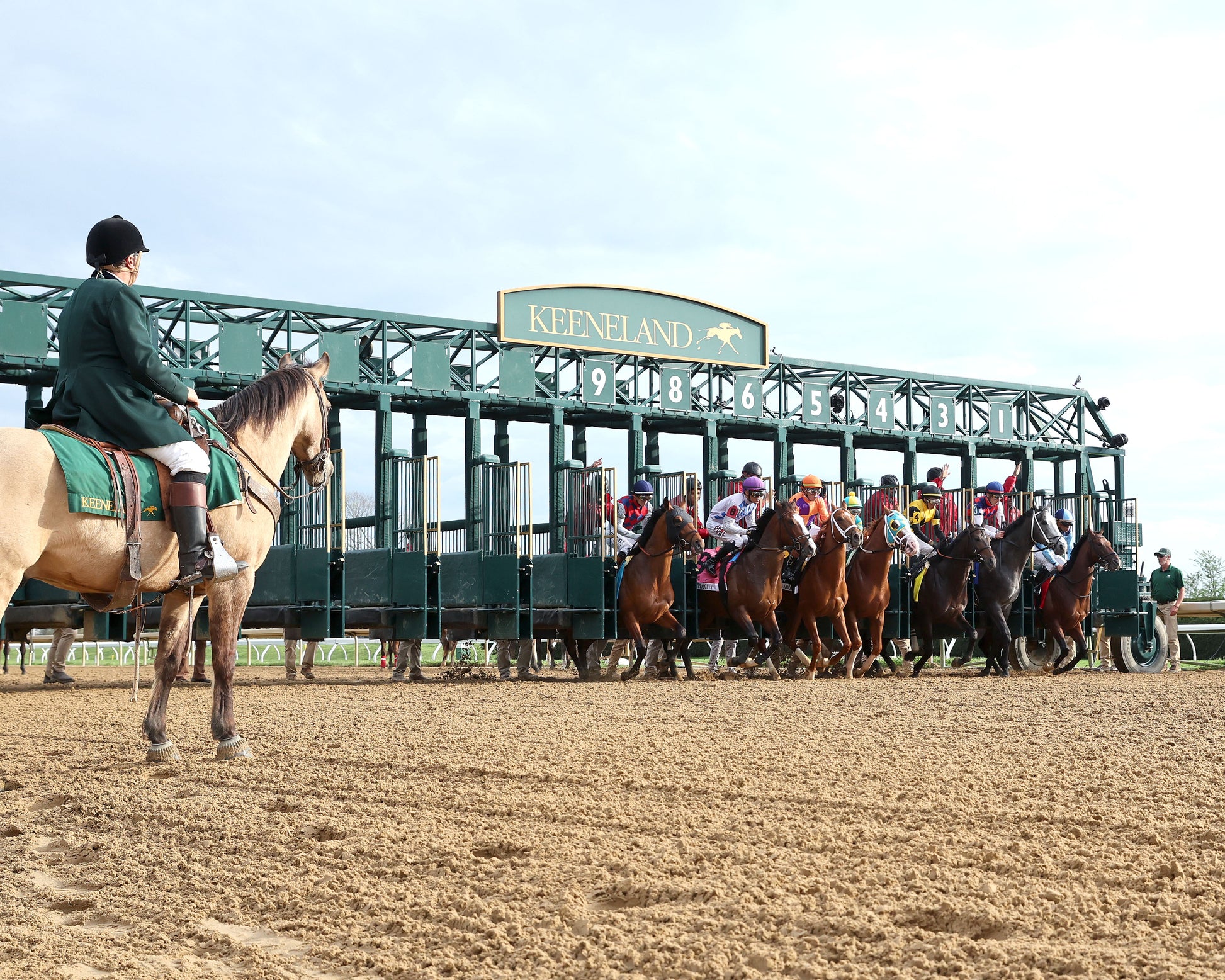 FURTHER ADO - The Toyota Blue Grass G1 - 04-04-26 - R11 - KEE - Start 01 - Coady Media - Kurtis Coady Photography