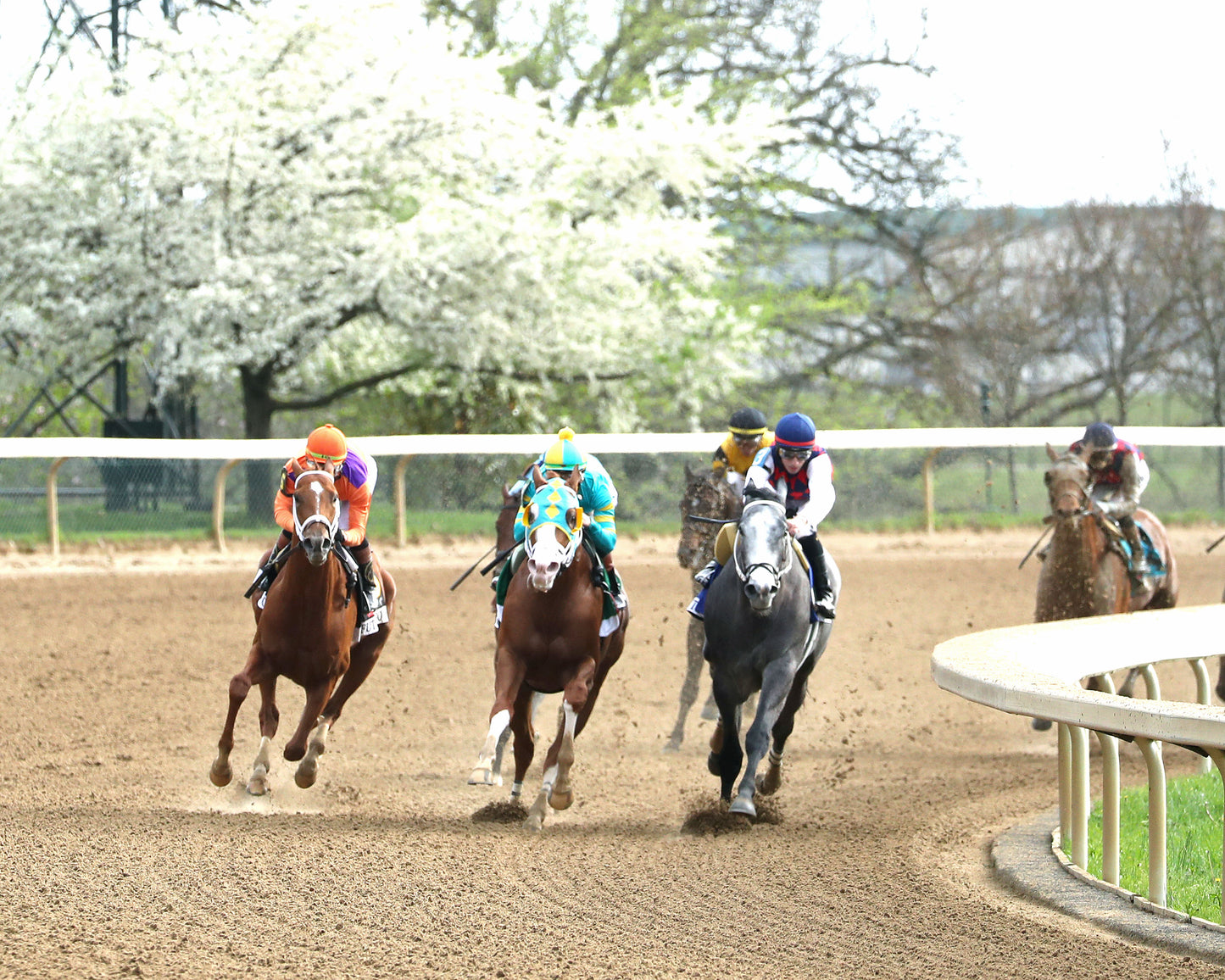 FURTHER ADO - The Toyota Blue Grass G1 - 04-04-26 - R11 - KEE - Turn 01 - Coady Media - Kurtis Coady Photography