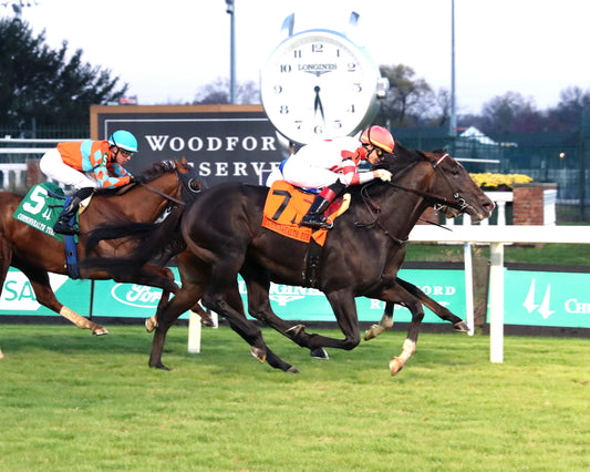 GIOCOSO - 112225 - Race 10 - CD - Finish 01